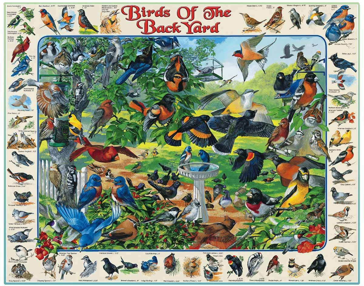 Birds of the Back Yard - 1000 Piece Jigsaw Puzzle White Mountain