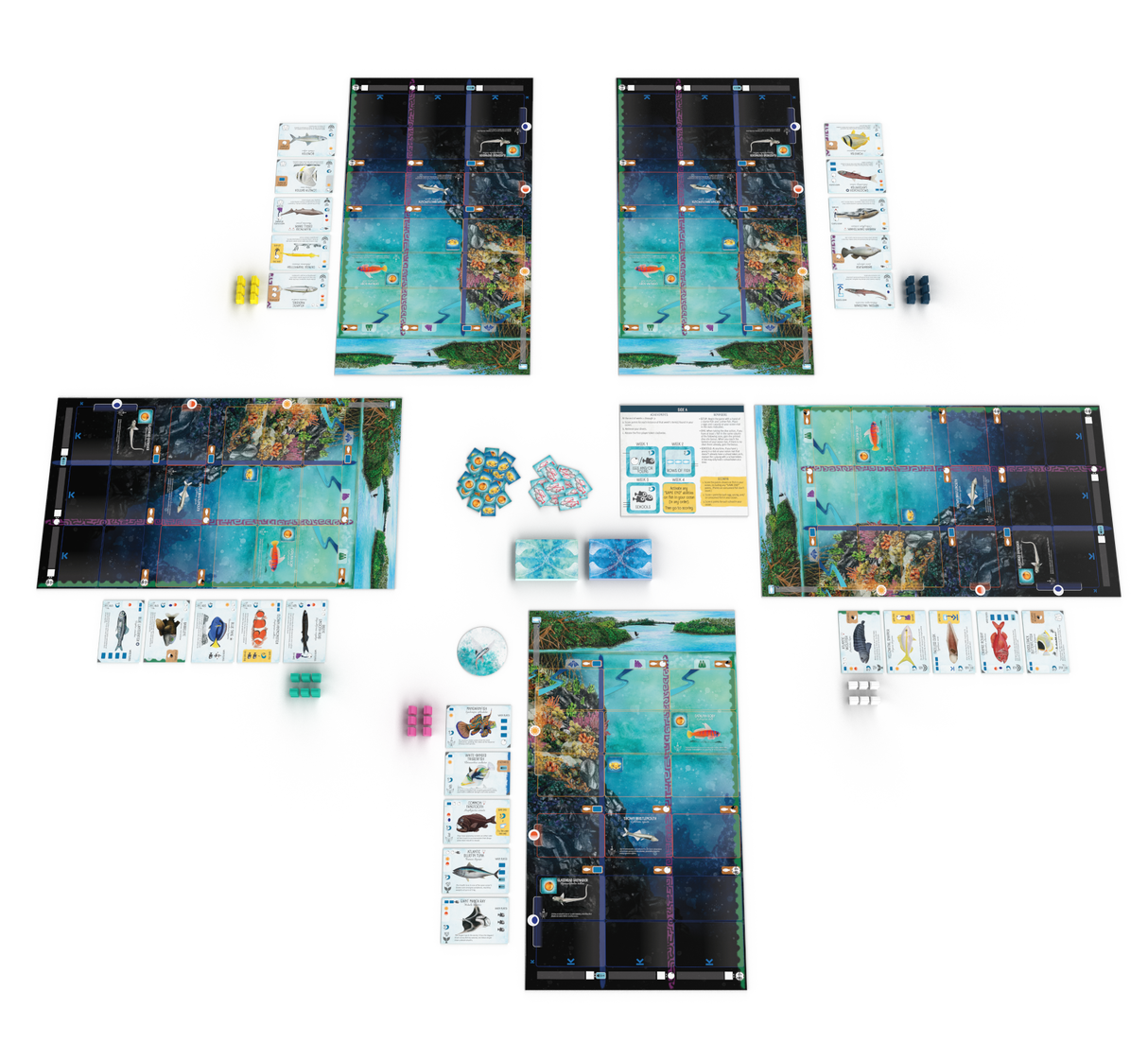 Finspan full game setup with all player boards and central ocean area