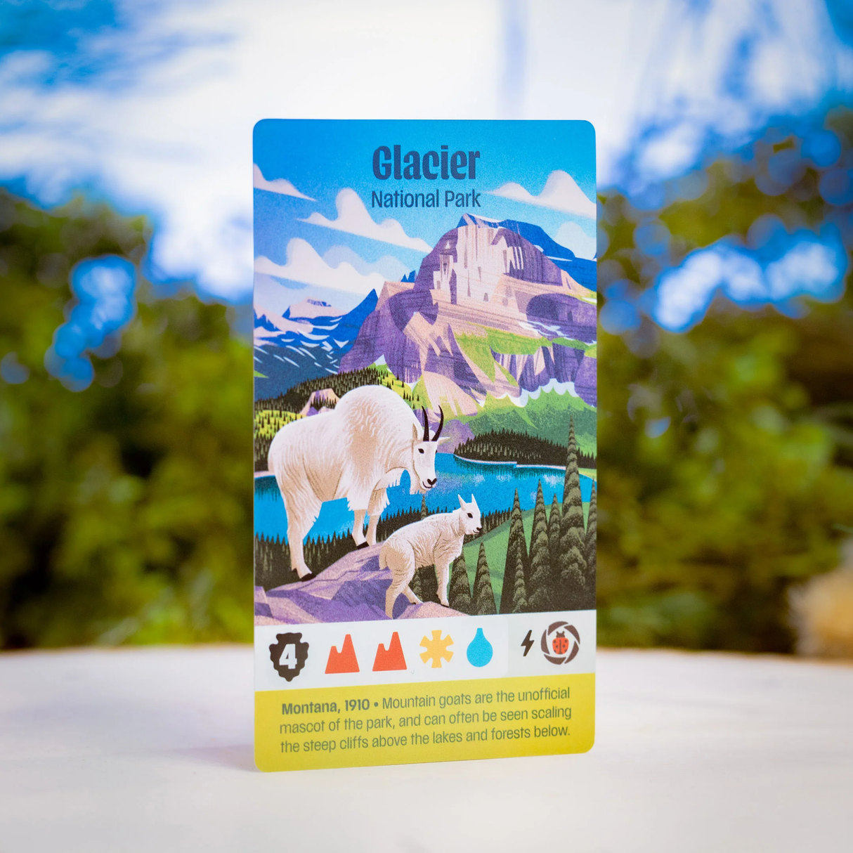 Parks 2nd Edition detailed game pieces and park cards