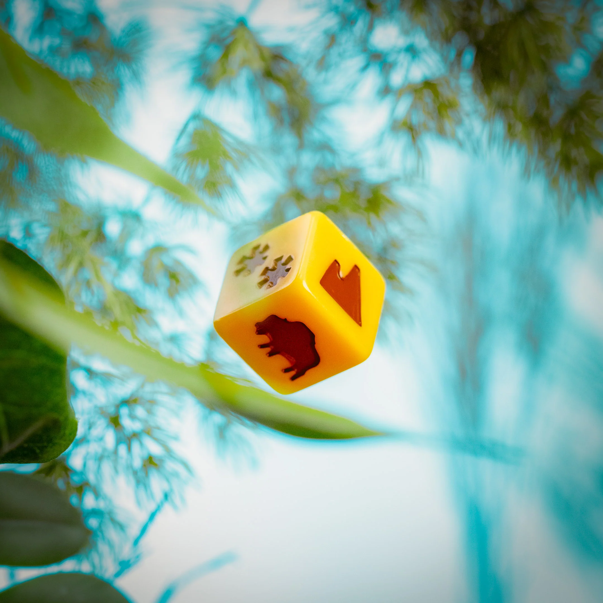 Parks 2nd Edition national park dice