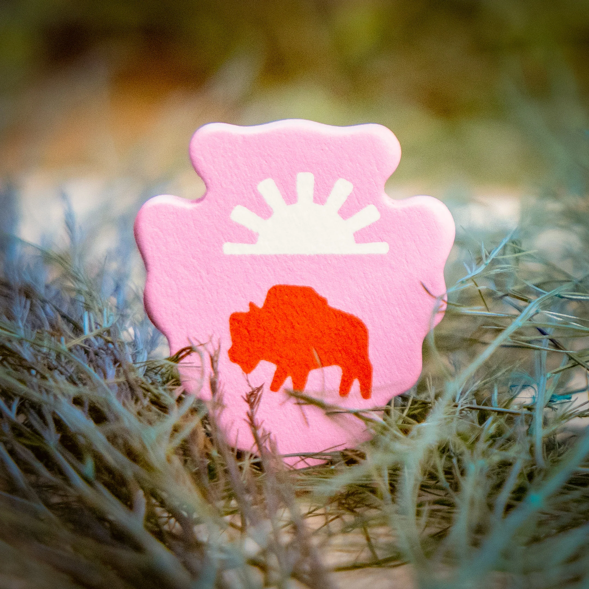 Parks 2nd Edition player pieces