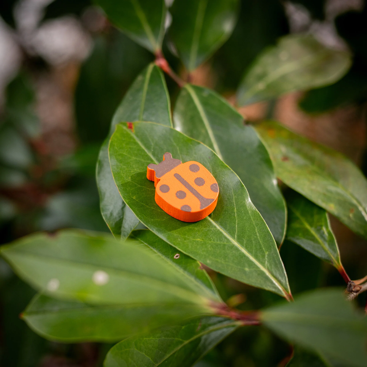 Parks 2nd Edition national park ladybug