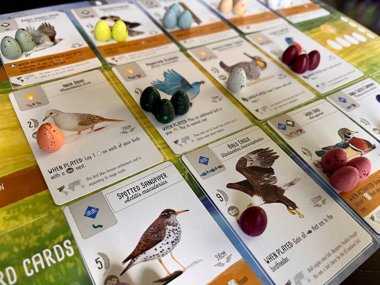 Wingspan: 100 Speckled Eggs for Wingspan