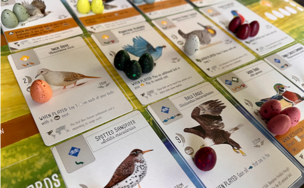 Wingspan: 100 Speckled Eggs for Wingspan