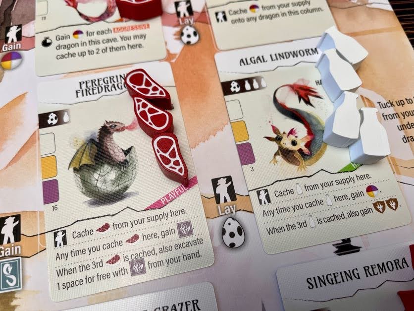 Wyrmspan - Upgraded Resources