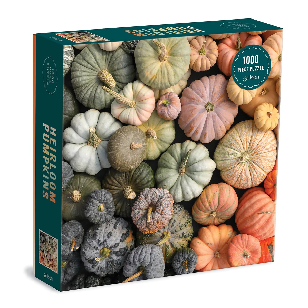 Heirloom Pumpkins - 1000 Piece Galison