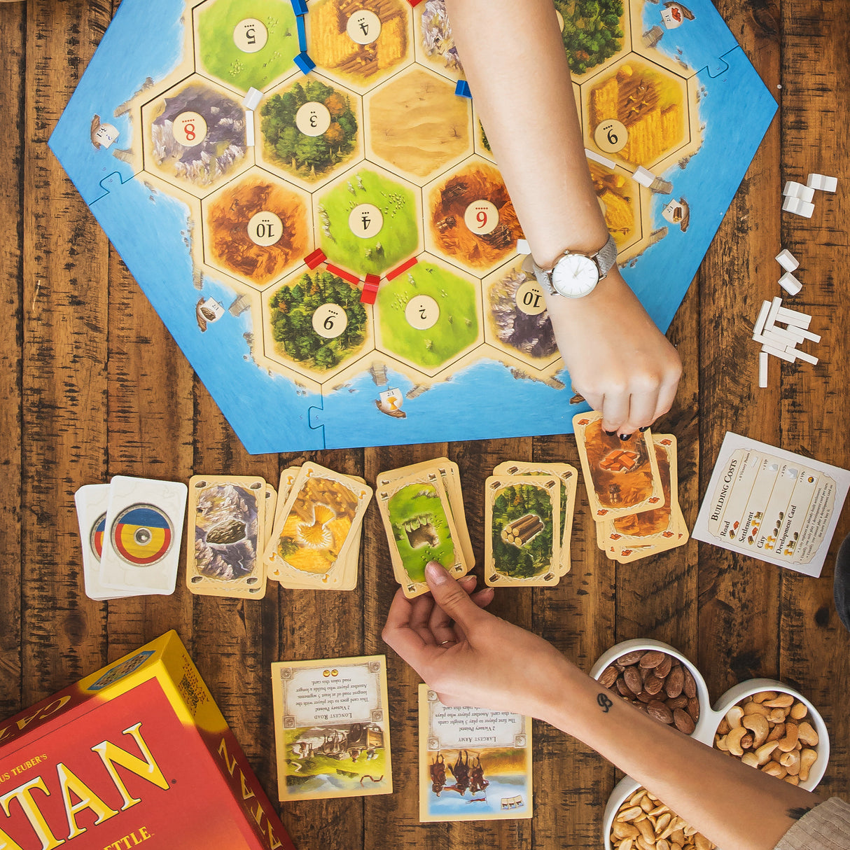 Catan detailed game pieces featuring roads, settlements, and cities