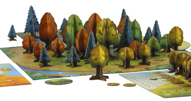 Photosynthesis board game gameplay and sunlight mechanics