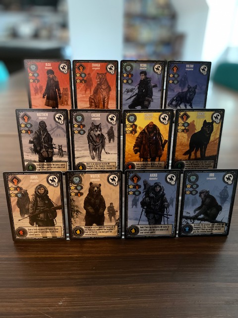 Expeditions Ironclad Edition character carsd