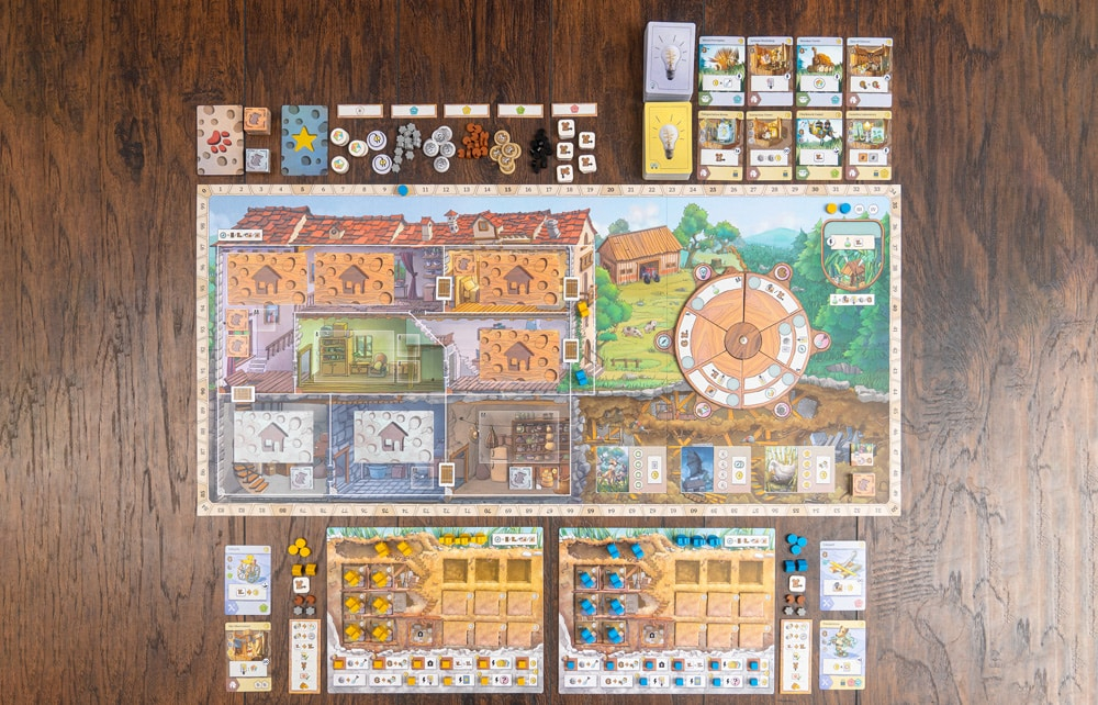 Rats of Wistar gameplay setup