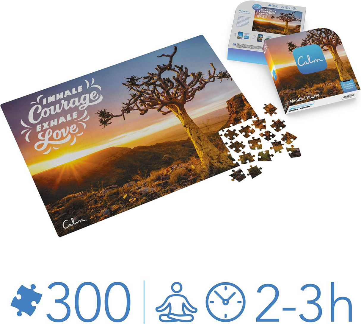 Calm Puzzle - Quiver Tree 300piece