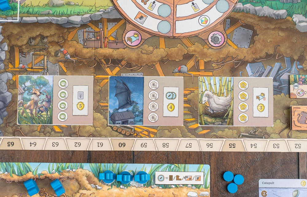 Rats of Wistar player boards