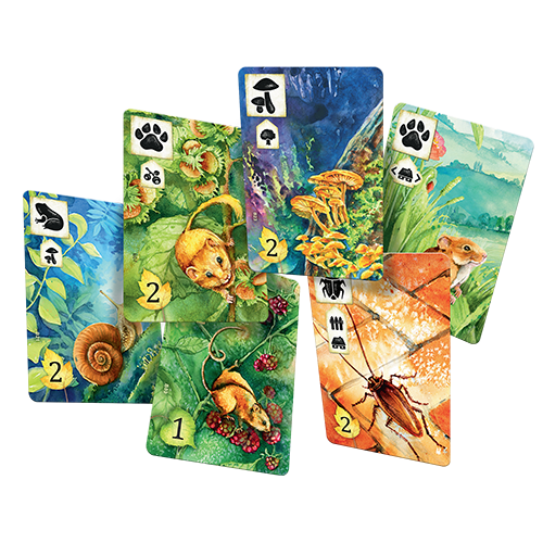 Meadow detailed game pieces featuring beautiful nature artwork and peaceful gameplay
