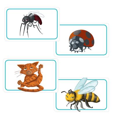 Concept Kids: Animals