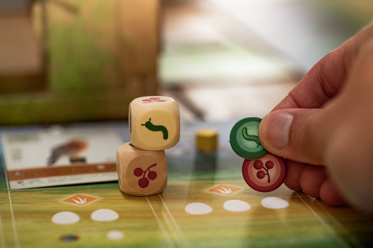 Wingspan detailed game pieces and dice