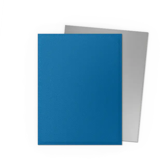 Dragon Shield Cobalt and Silver - Dual Matte Sleeves - Standard Size