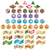 Sanibel Board Game shell collection mechanics