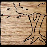 Elderwoods logo
