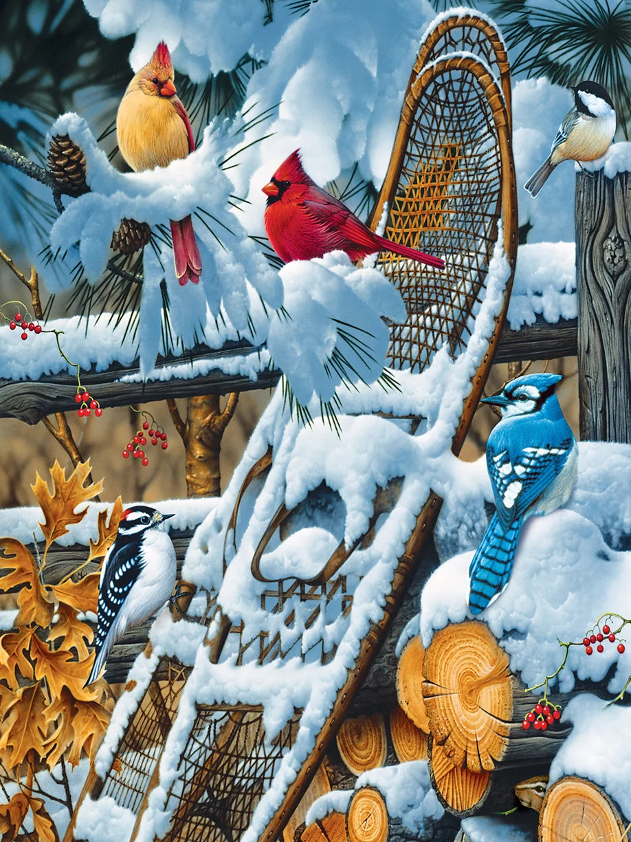 Wings of Winter - 500pc Puzzle Twist