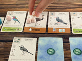Wingspan Pocket