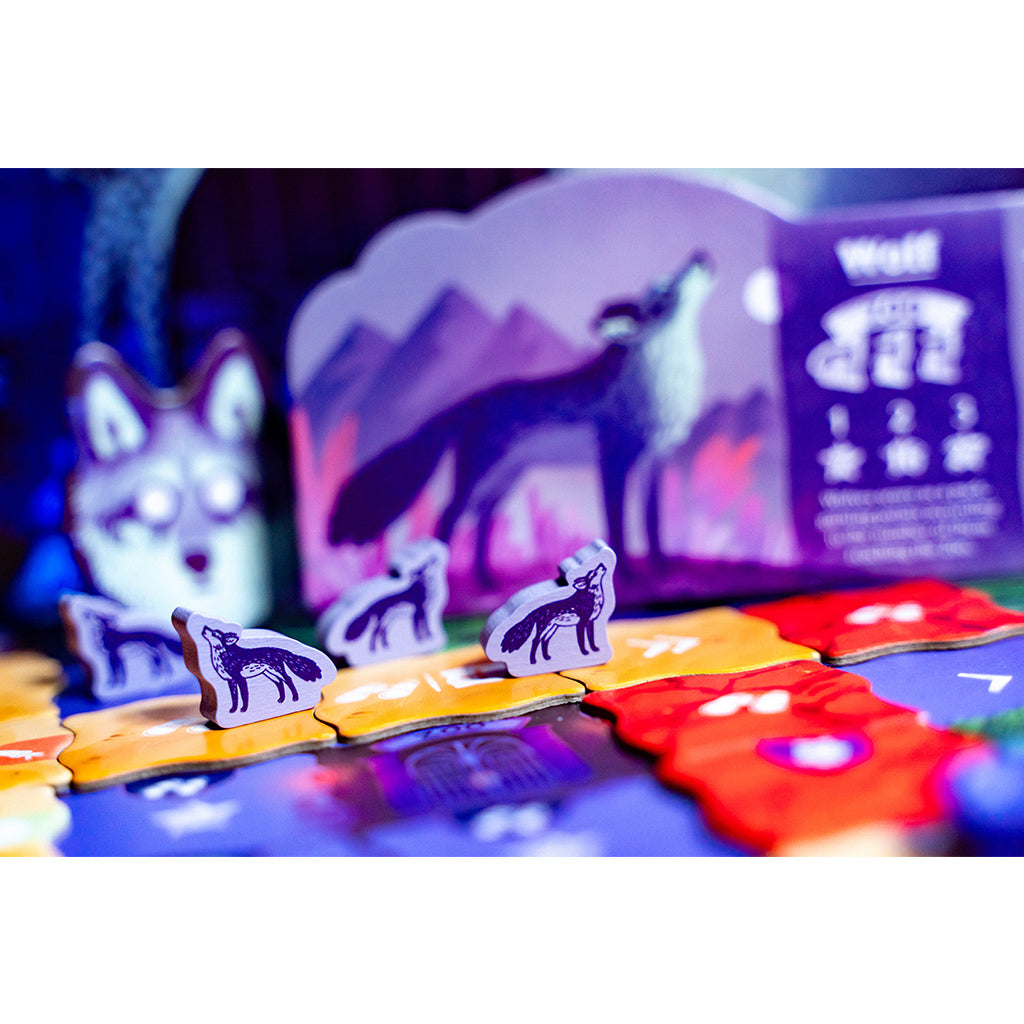 Night at the Zoo (Pre-order)