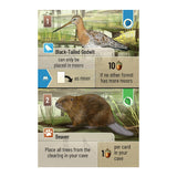 Forest Shuffle: Dartmoor (Pre-Order)