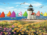 Rainbow Fleet - 500 Piece Jigsaw Puzzle White Mountain