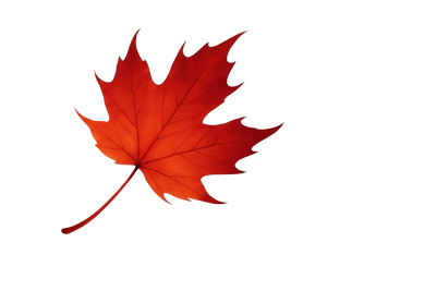 Red fall leaf with transparent background