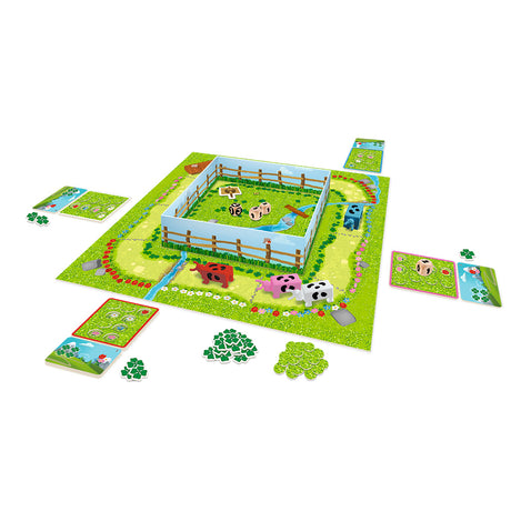 A Fistful of Daisies board game cards and components